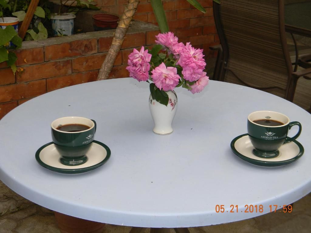 Хостелы GEO Vake Hostel Тбилиси